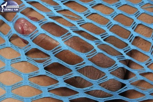 Hard Tranny Cock in a Fishnet Dress